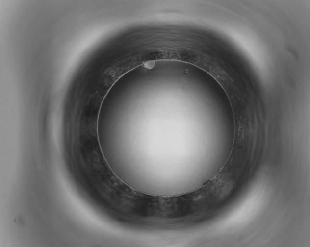 X0000113200383200909171519