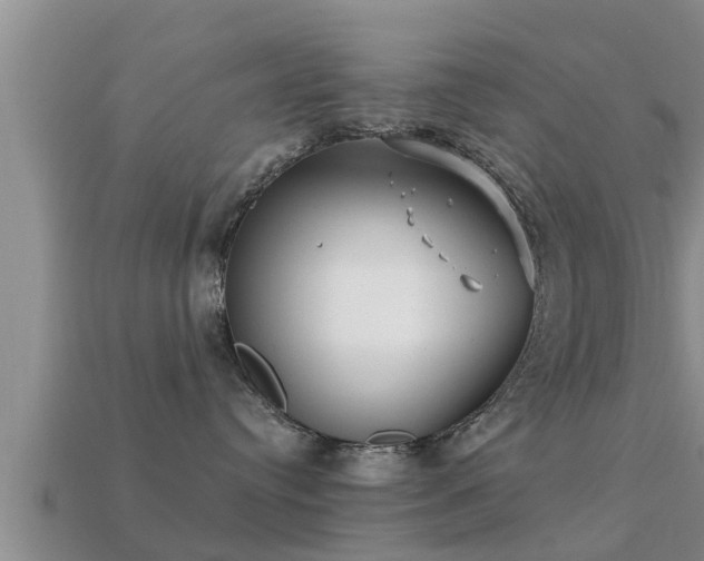 X0000113200384200909171519