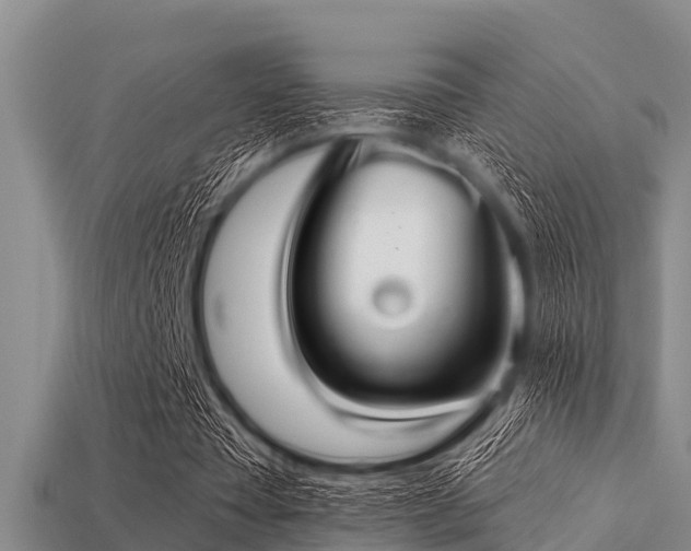 X0000113200385200909171518