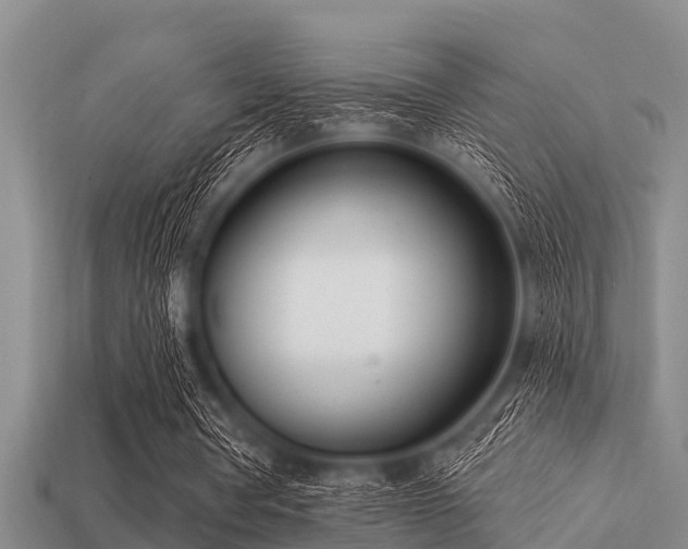 X0000113200386200909171518