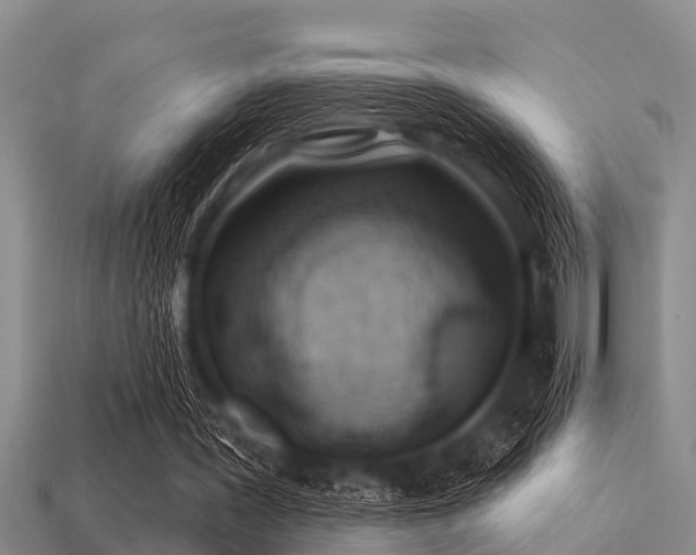 X0000113200387200909171518