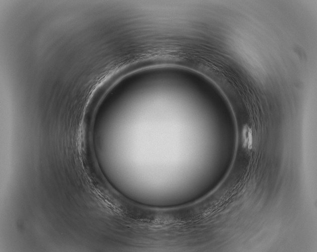 X0000113200388200909171518