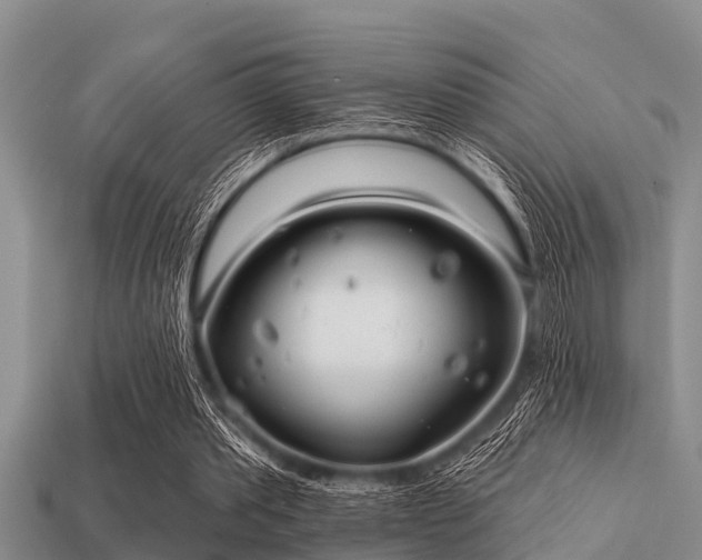 X0000113200389200909171518