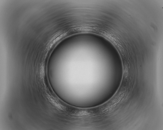 X0000113200390200909171518