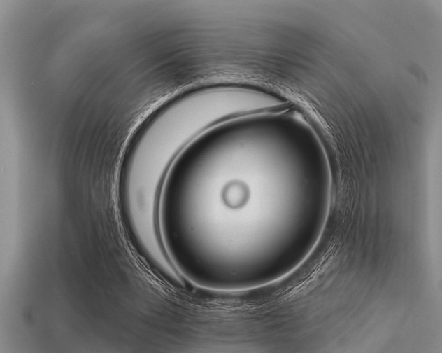 X0000113200391200909171518