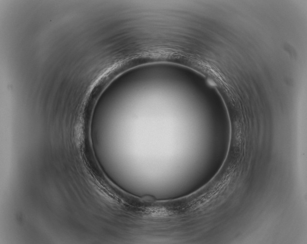 X0000113200392200909171518