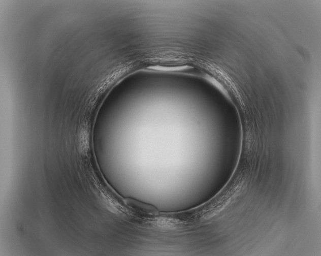 X0000113200393200909171518