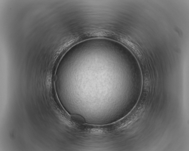 X0000113200394200909171518