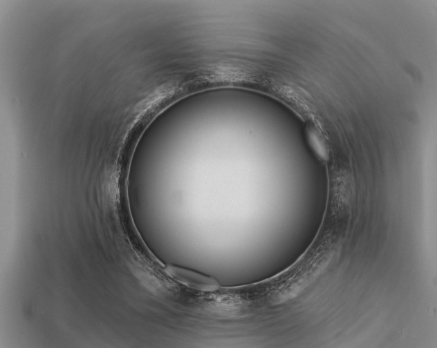 X0000113200395200909171518