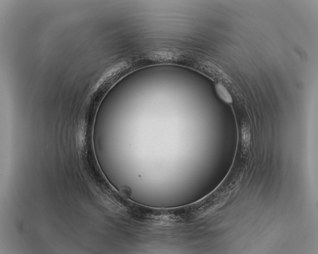 X0000113200396200909171518