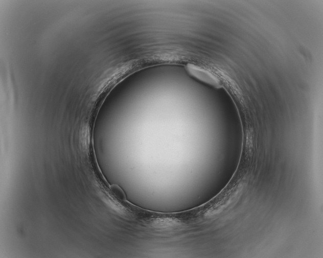 X0000113200397200909171518