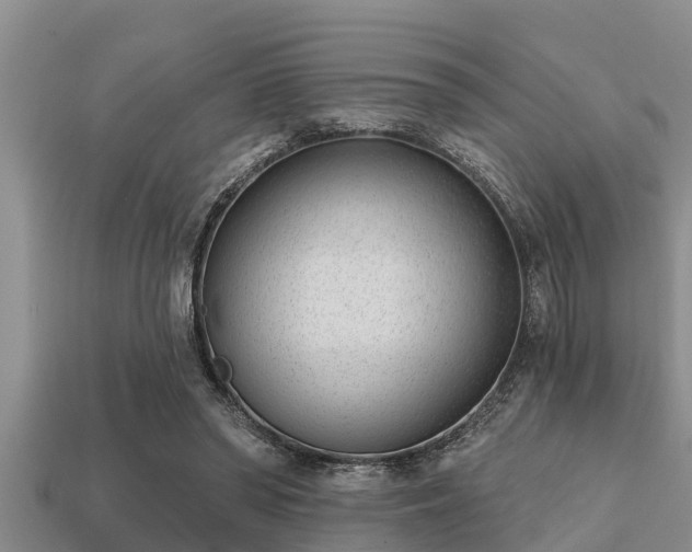 X0000113200398200909171518