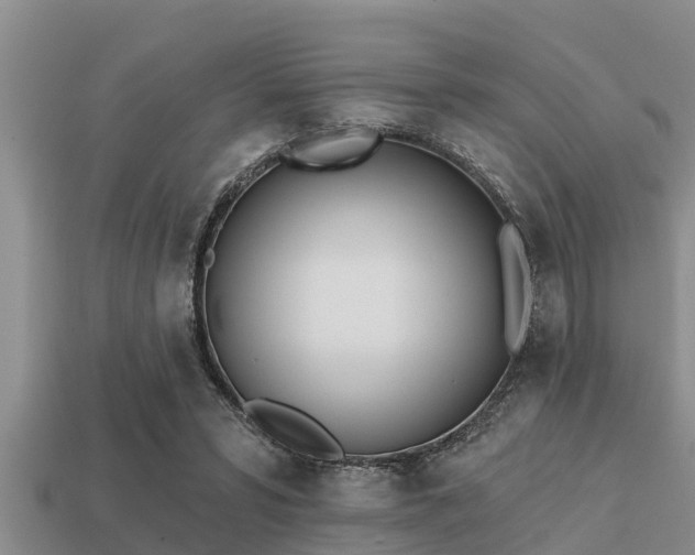 X0000113200399200909171518