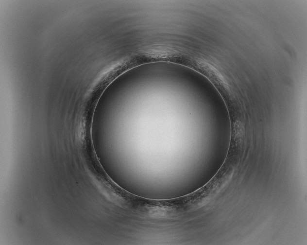 X0000113200400200909171518