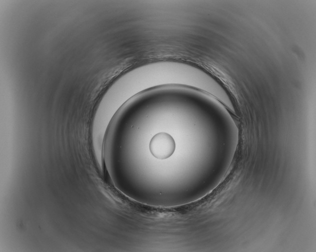 X0000113200401200909171518