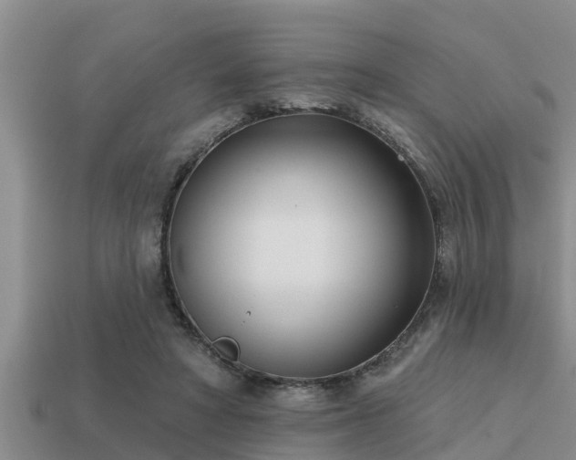 X0000113200402200909171518