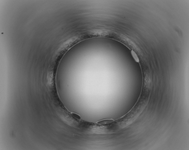 X0000113200403200909171518