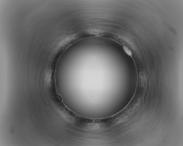 X0000113200404200909171518