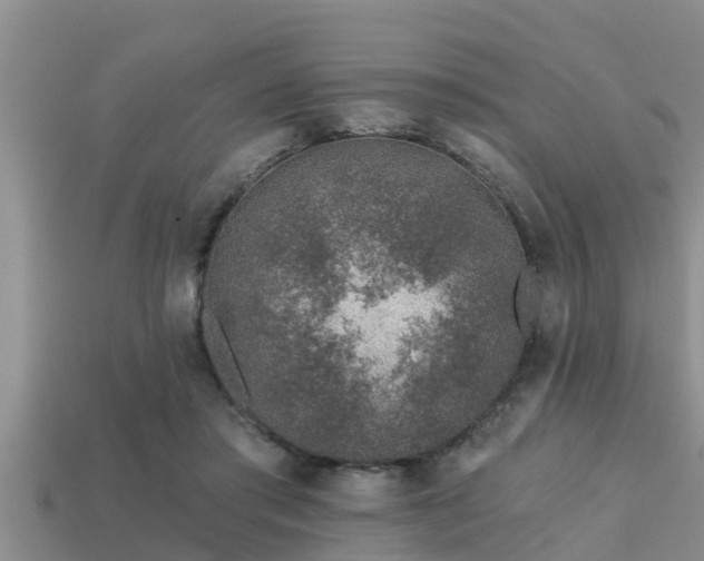 X0000113200405200909171518