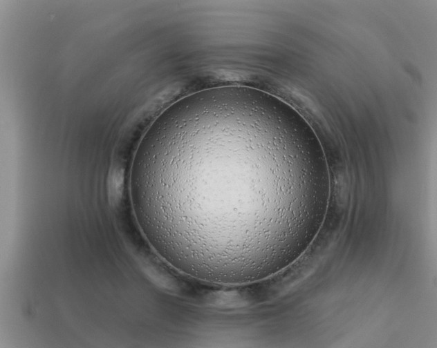 X0000113200406200909171518