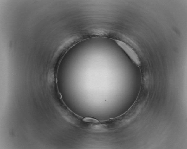 X0000113200407200909171518