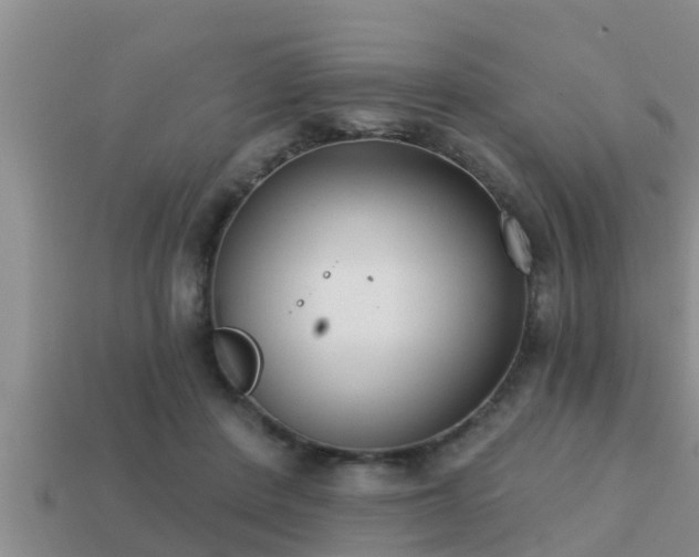 X0000113200408200909171518