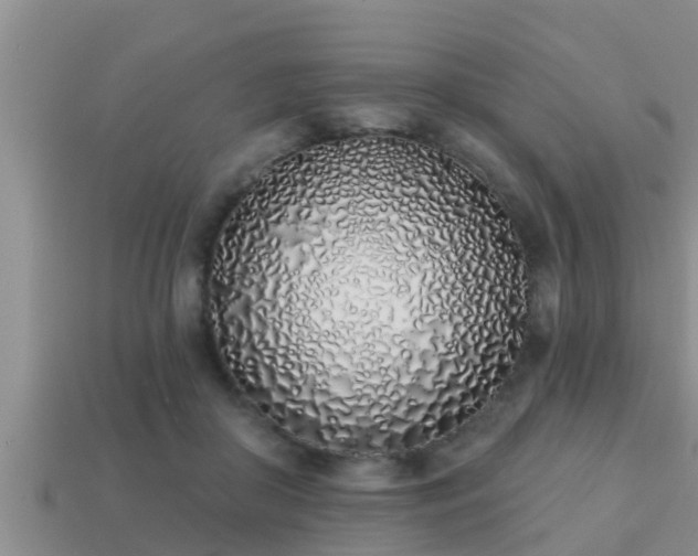 X0000113200410200909171518