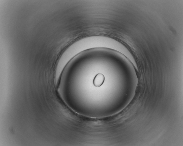 X0000113200411200909171518