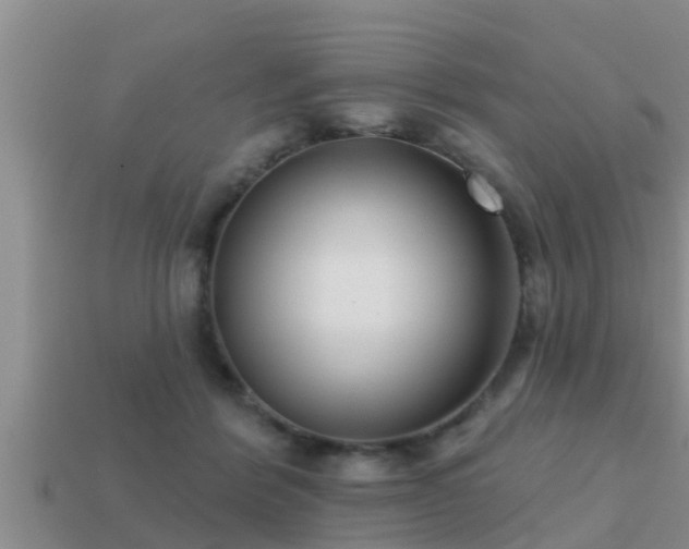 X0000113200412200909171518