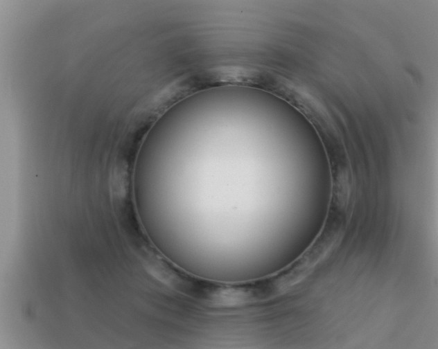 X0000113200413200909171518