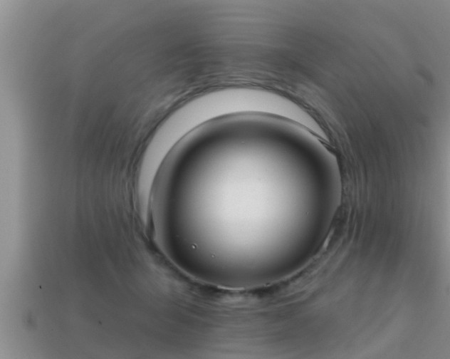 X0000113200415200909171518