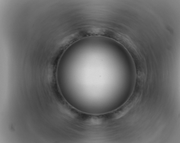 X0000113200416200909171518