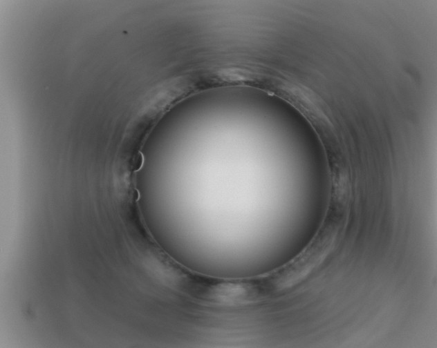 X0000113200418200909171517