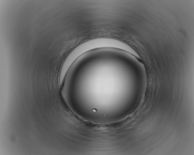 X0000113200419200909171517