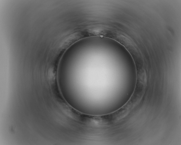 X0000113200420200909171517