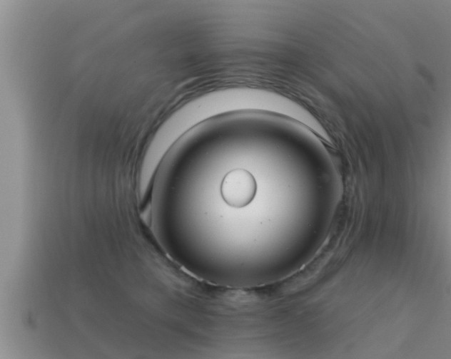 X0000113200421200909171517