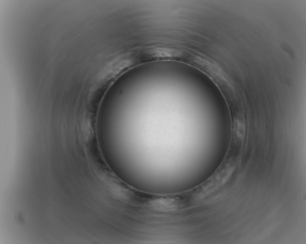 X0000113200422200909171517