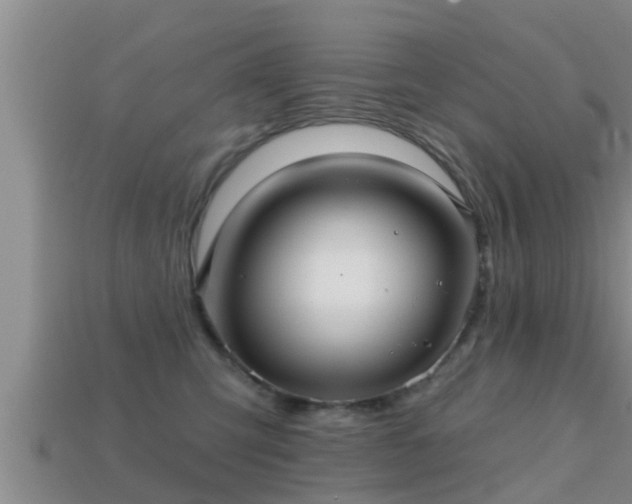 X0000113200423200909171517