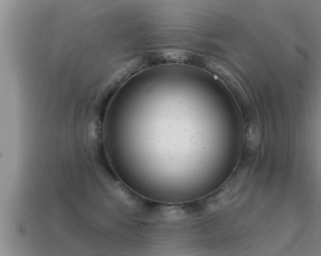 X0000113200424200909171517