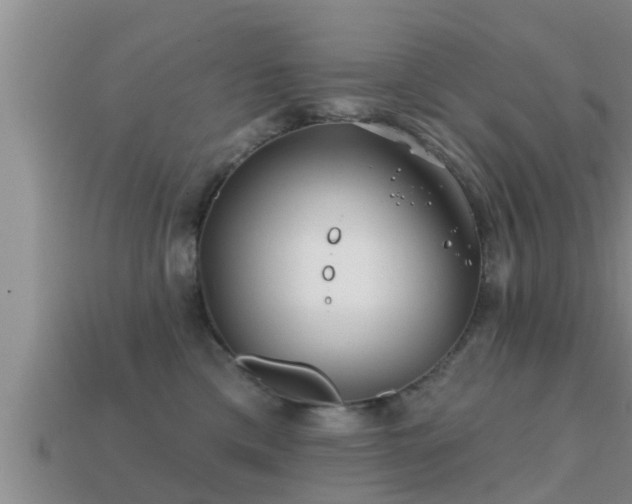 X0000113200425200909171517