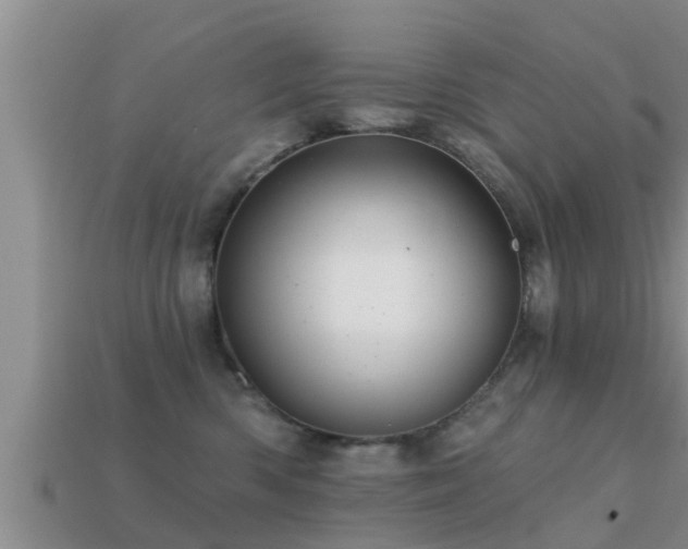 X0000113200426200909171517