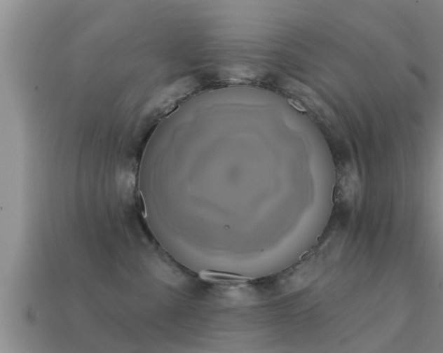 X0000113200427200909171517