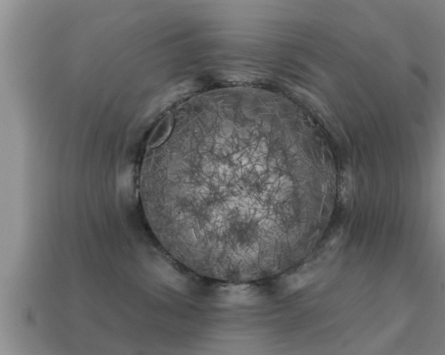 X0000113200428200909171517