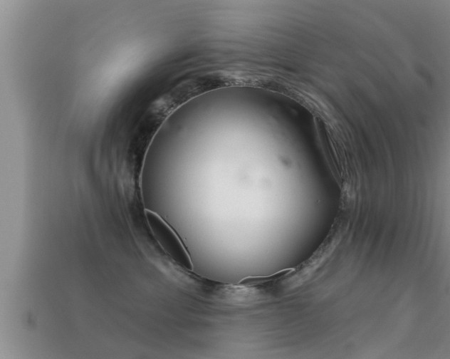 X0000113200429200909171517