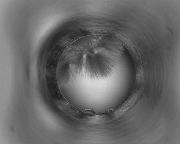 X0000113200430200909171517