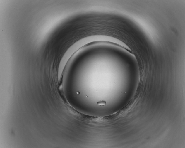 X0000113200431200909171517