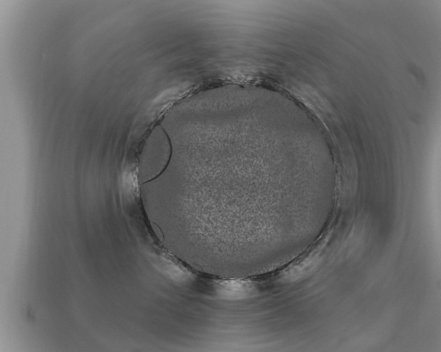 X0000113200432200909171517