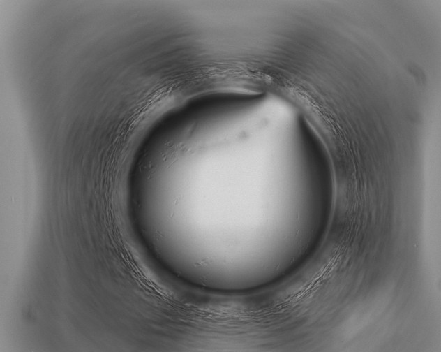 X0000113200433200909171517