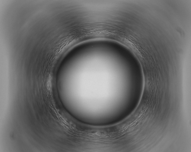 X0000113200434200909171517