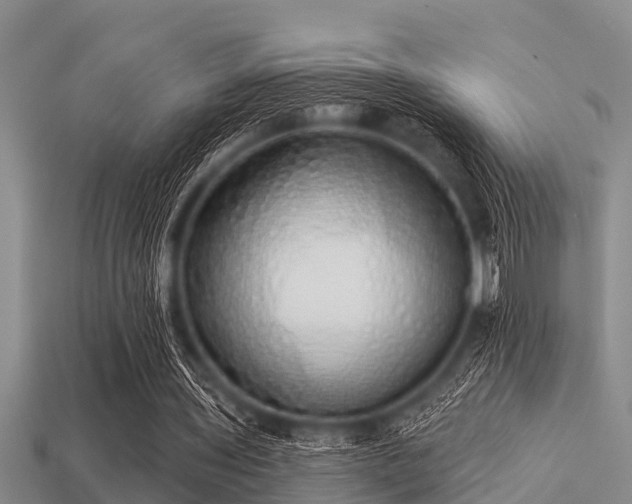 X0000113200435200909171517